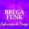 Brega Funk - Sofrencia do Brega - Single
